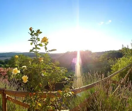 Dolci Colline Holiday home *