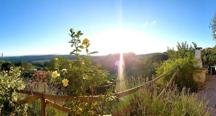 Dolci Colline Dom wakacyjny *